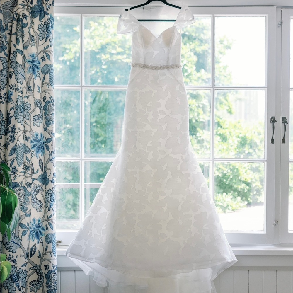 Anne Barge Blue Willow Wedding Dress (Walker style)